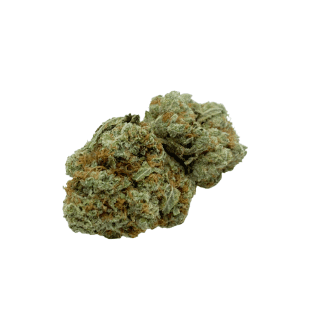 Chocolope Kush