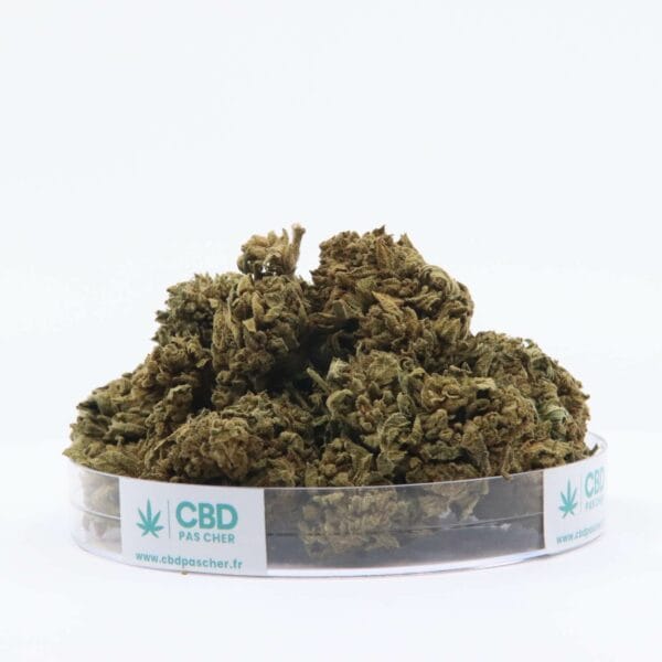 King Kush – Image 6