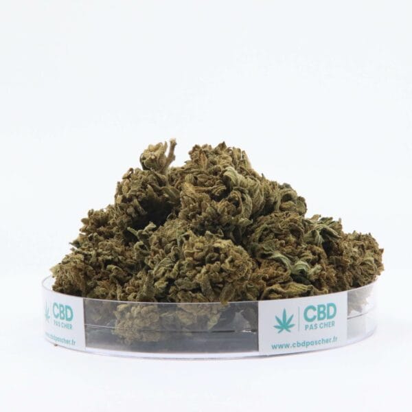 King Kush – Image 10