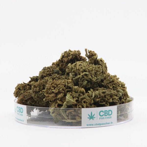 King Kush – Image 35