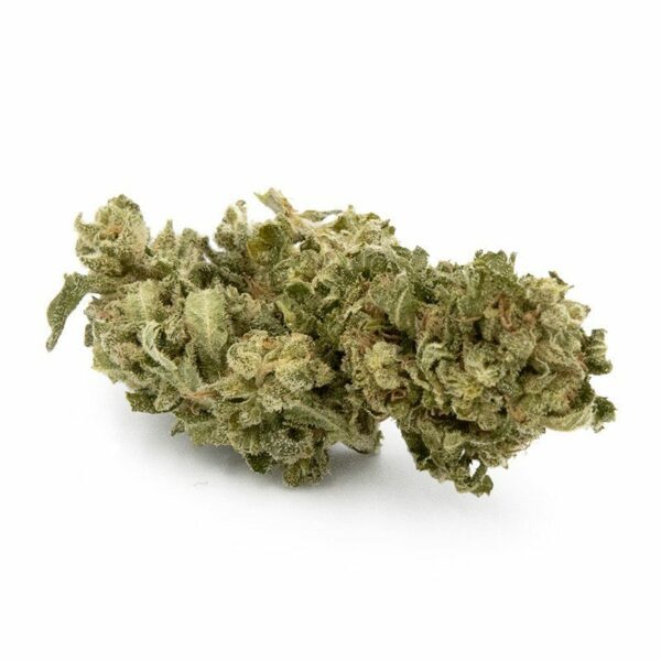 Fleur de cannabis légal CBD Critical pas cher